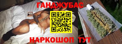 крисы Можга