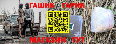 крисы Можга