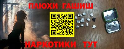 крисы Можга