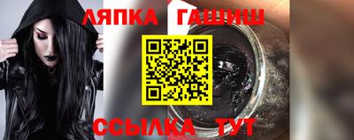 крисы Можга