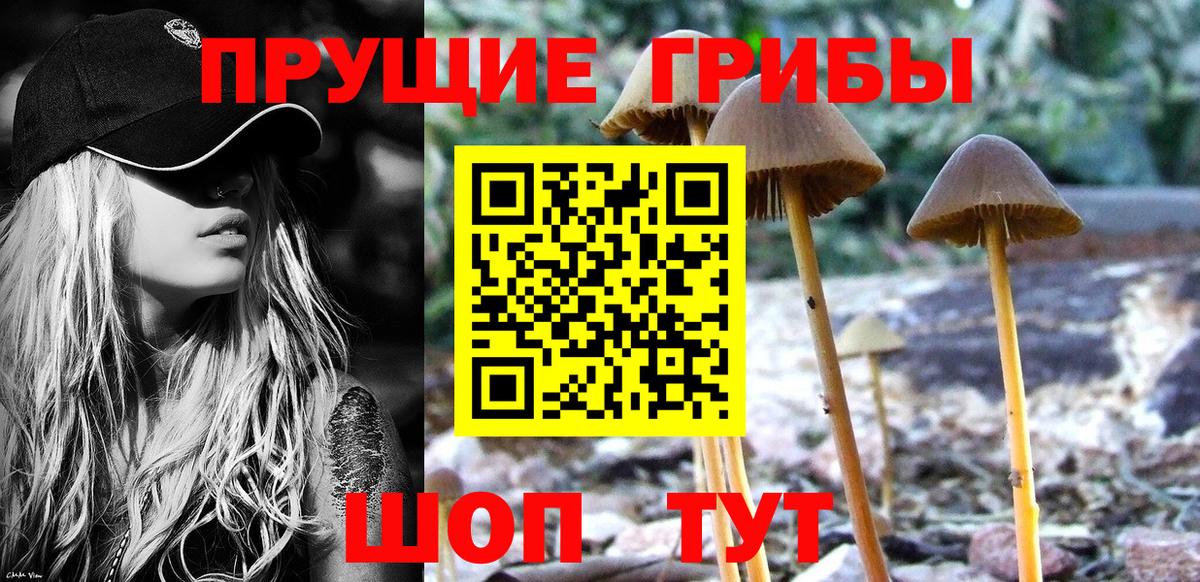 Галлюциногенные грибы мицелий  купить наркотики цена  Фурманов  Вход с VPN 