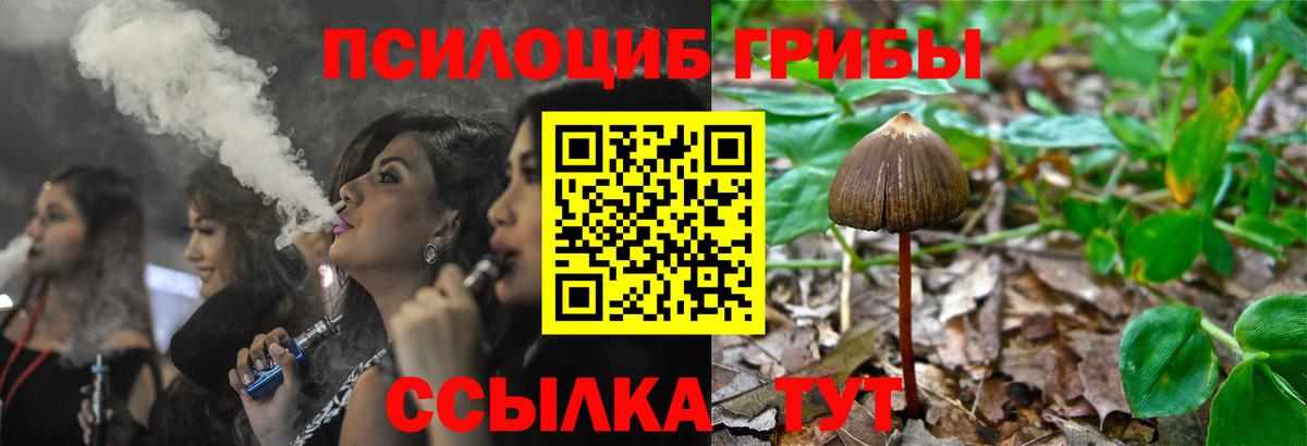 Галлюциногенные грибы MAGIC MUSHROOMS Фурманов